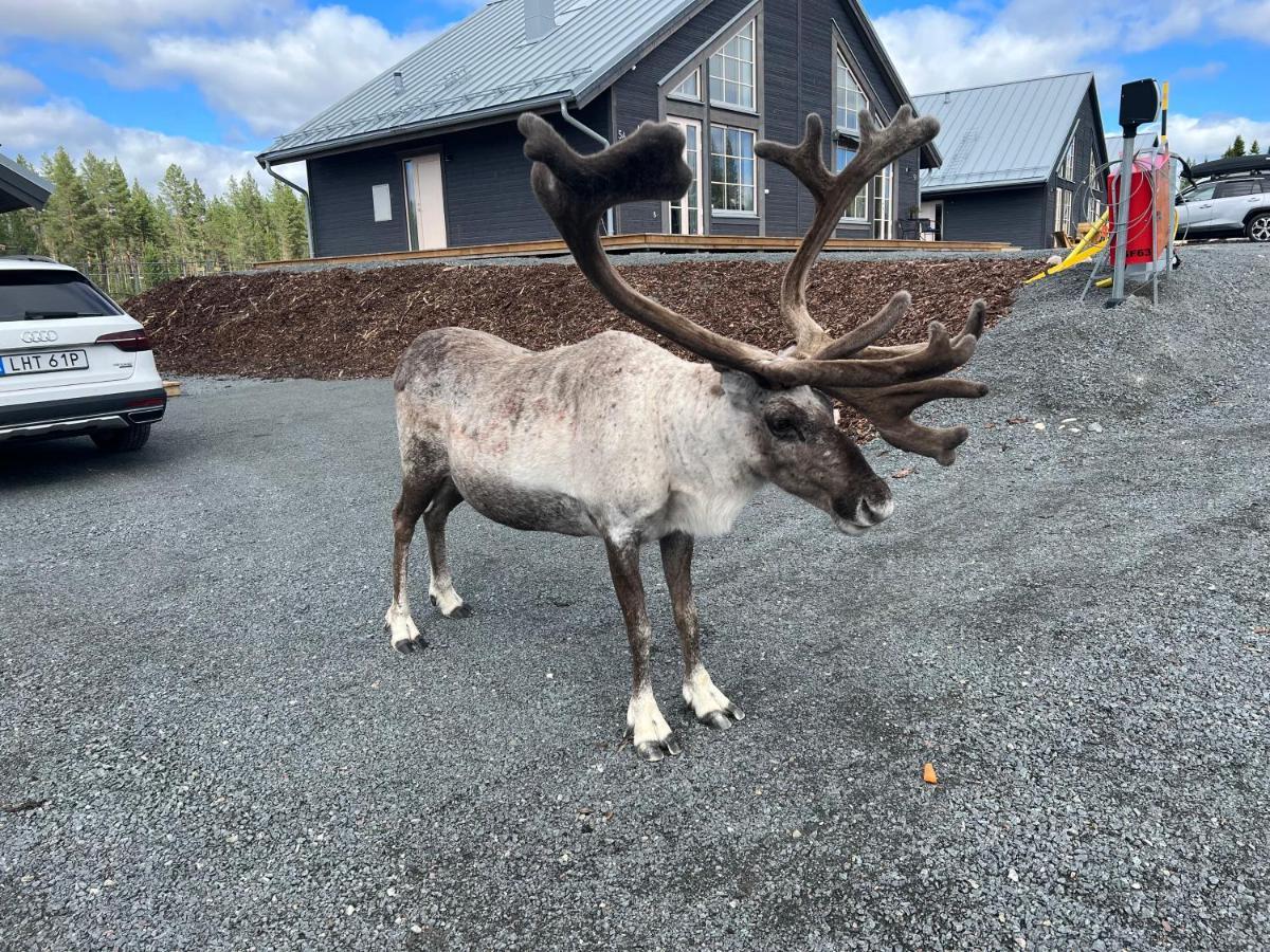 New Cabin In Fabulous Idre Activity Area 外观 照片
